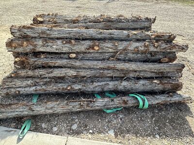 Cedar posts