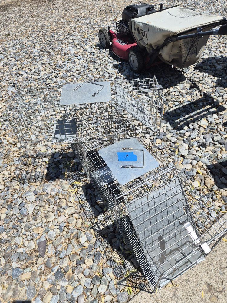 Heavy Duty Steel Wire Live Animal Trap - Humane Catch & Release for Small and Medium Pests