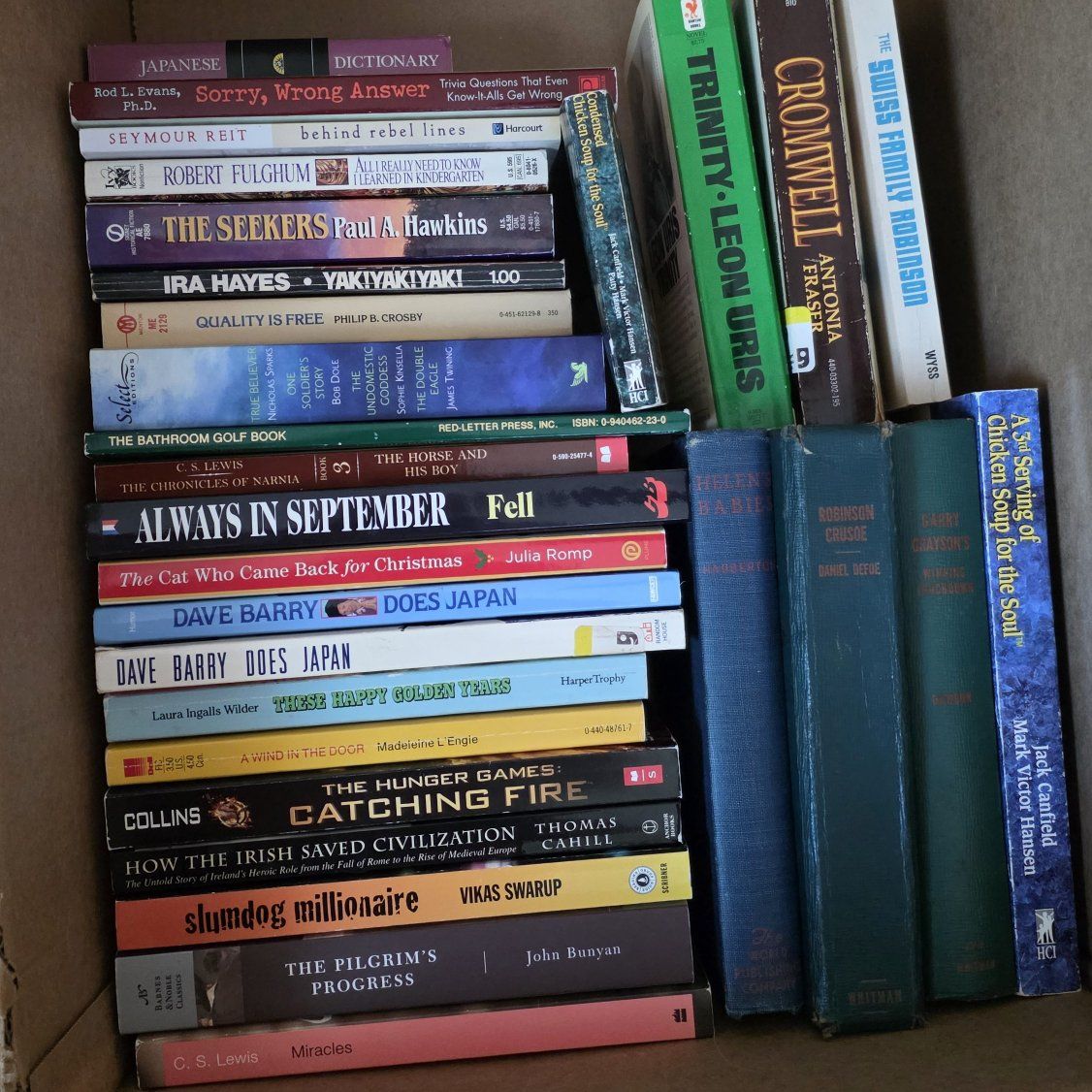 Huge Book Lot (29 Books) - Classics, Bestsellers &