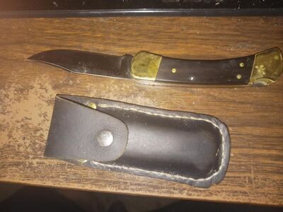 Buck Folding Knife 110