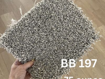 SALE! PLUSH, DENSE Carpet- $1.75/sq ft
