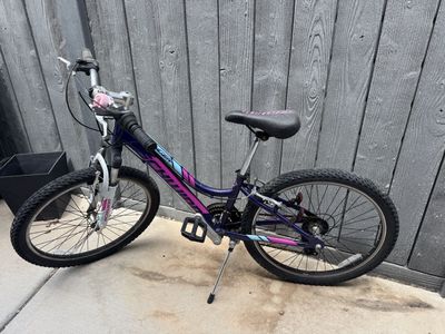 24” Schwinn girls bike