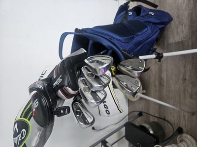 Golf Clubs complete set ready for play