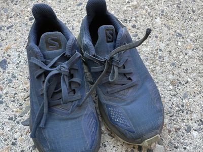 Salomon Sneakers