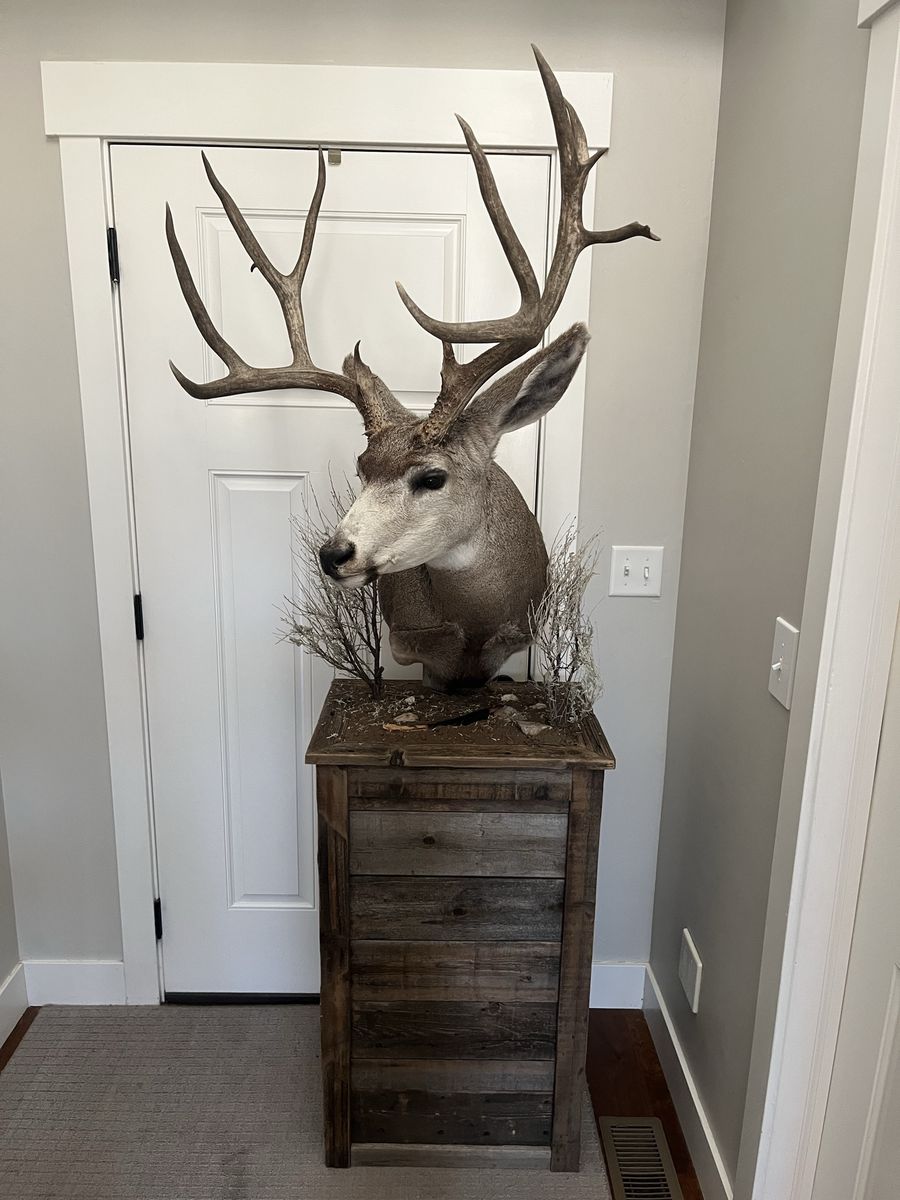 Reclaimed Barn Wood Pedestal for Taxidermy
