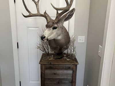 Reclaimed Barn Wood Pedestal for Taxidermy