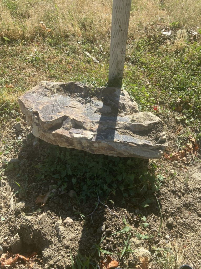 Dectrotive Garden Rocks