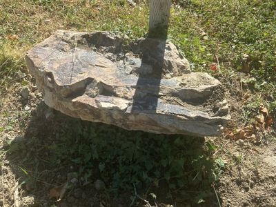 Dectrotive Garden Rocks