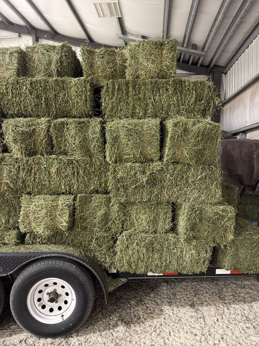 2 String Alfalfa Bales