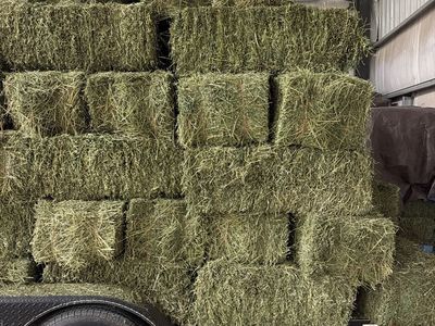 2 String Alfalfa Bales