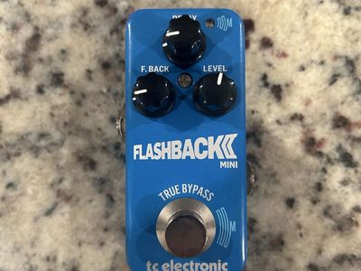TC Electronics Flashback 2 Mini