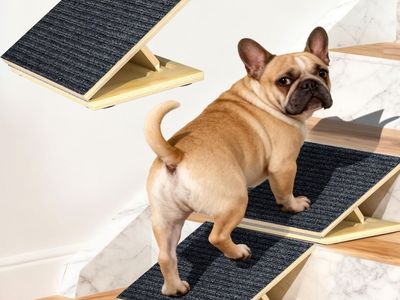 New 6 Pack Upgraded Dog Ramps for Stairs, Adjustable Stair ramp for Dogs