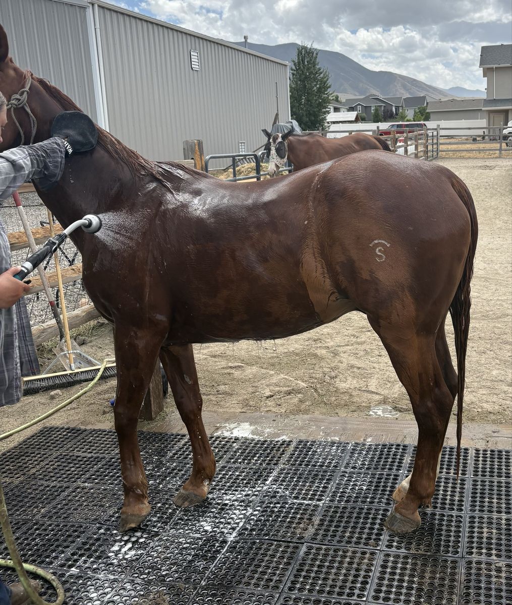 Main image 11