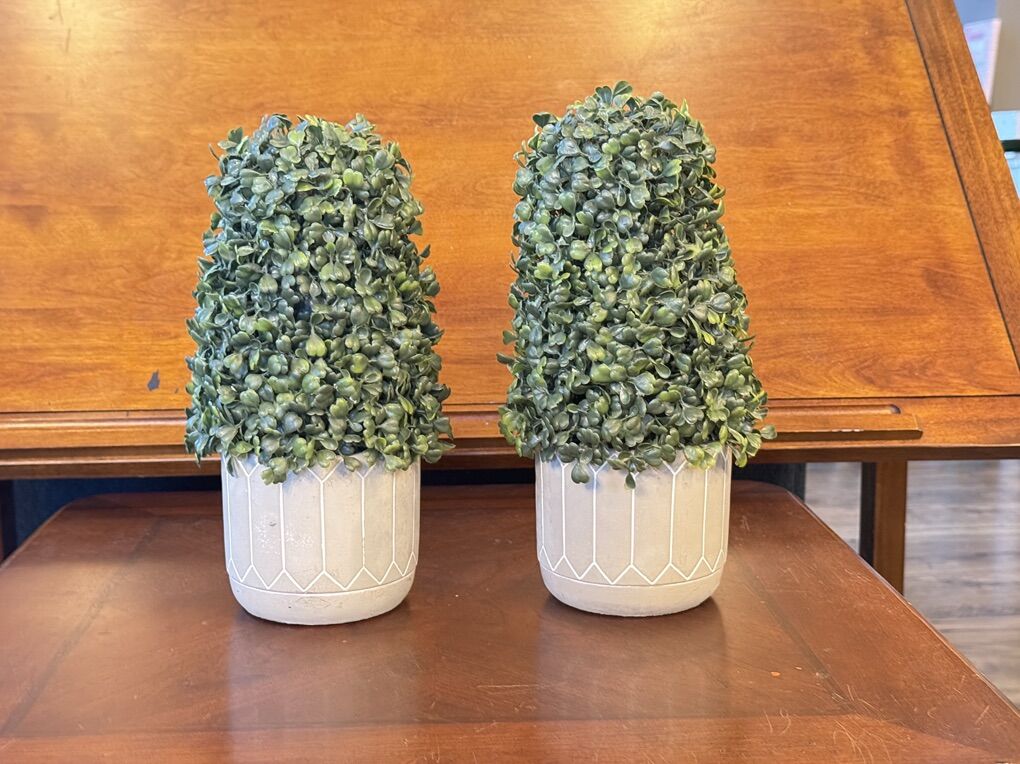 Better Homes Two Set Artificial Plants