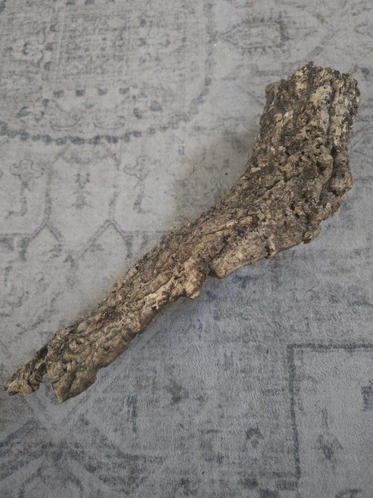 Medium natural Cork Bark Branch Reptile Decor