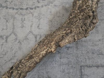 Medium natural Cork Bark Branch Reptile Decor