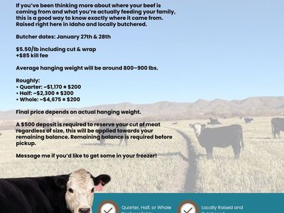 1/4, 1/2, or whole beef available