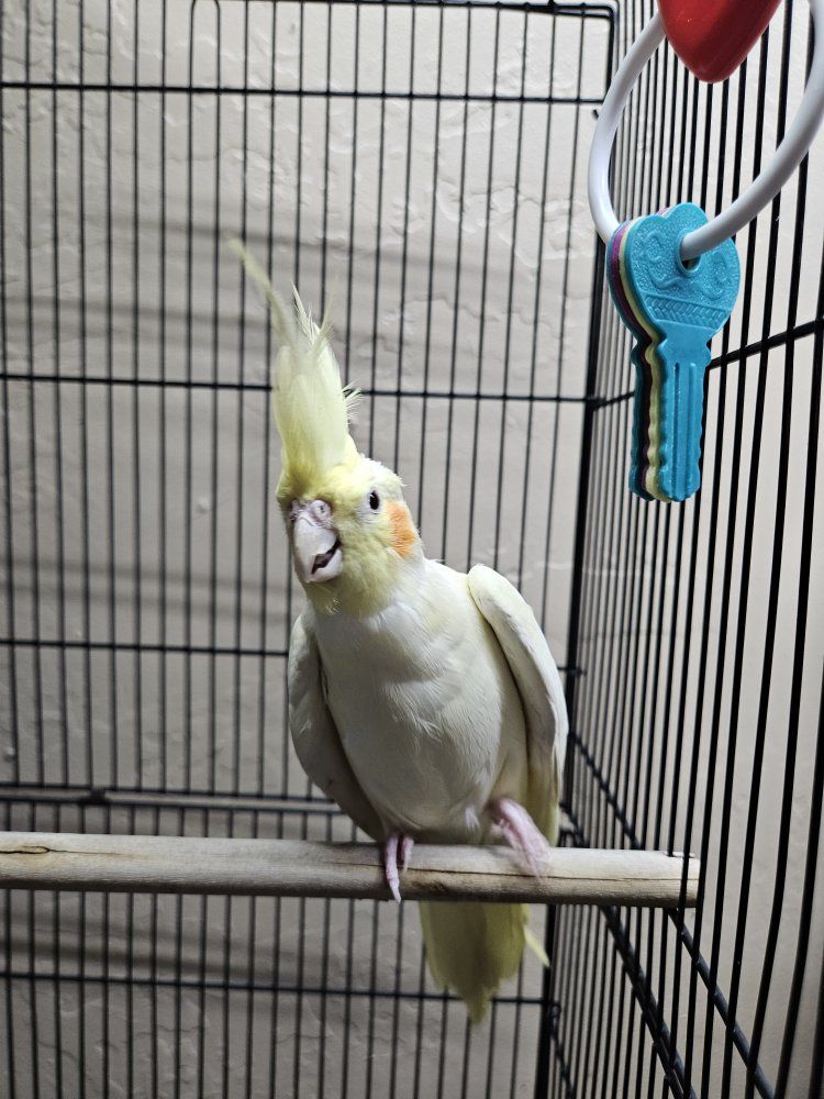 Main image 4