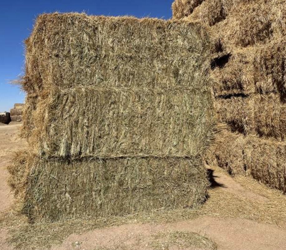 Grass/alfalfa mix hay bails 3x3