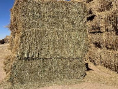 Grass/alfalfa mix hay bails 3x3