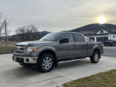 2014 FORD F150 XLT