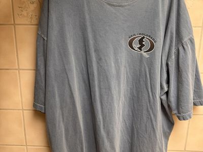 Comfort Colors Vail Colorado Ski Graphic T-Shirt - Blue/Gray, Size XXL