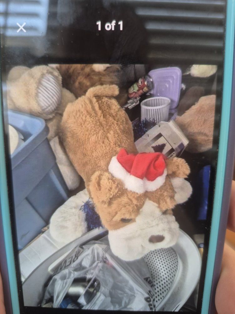 teddy bear