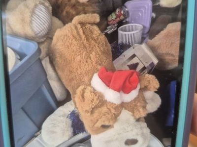 teddy bear