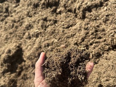 High Quality Compost Mulch
