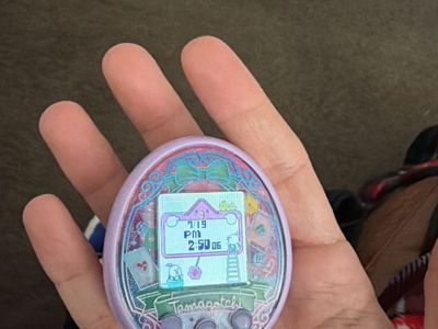 Tamagotchi On Wondergarden / Fairy Trade 4 Tama On Magic