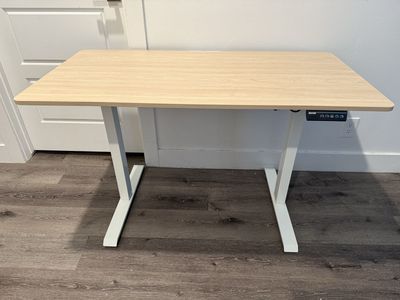 Brand New Electric Standing Desk