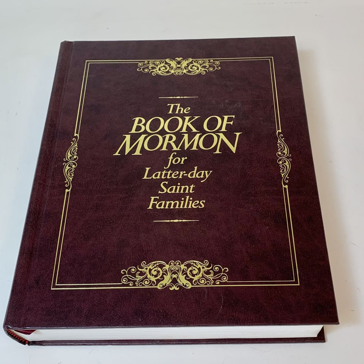 Book of Mormon for Families Scriptures