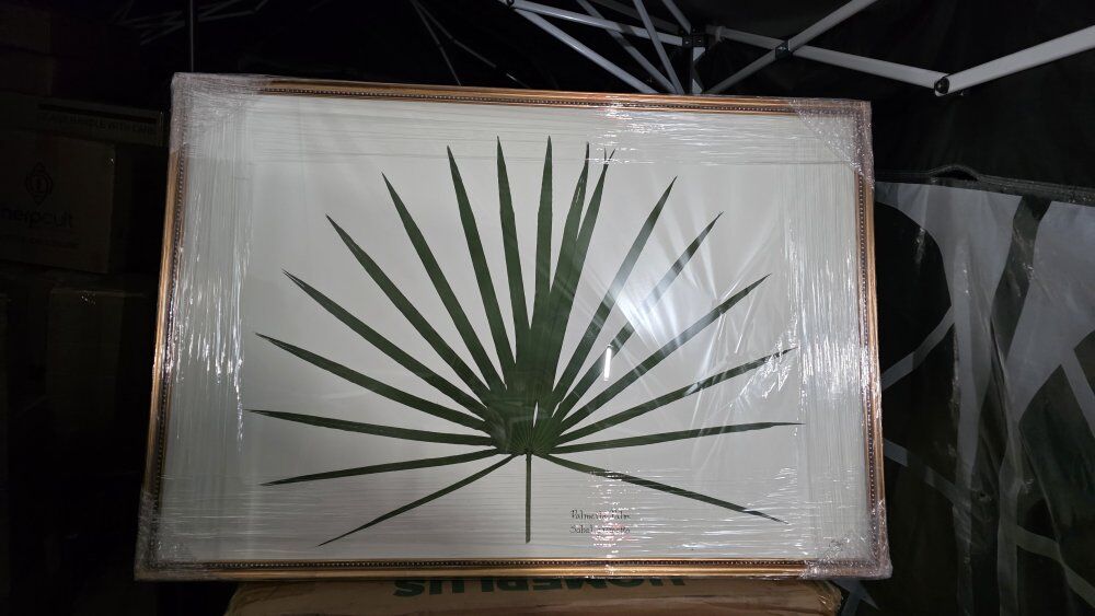 New! Framed Wall Art