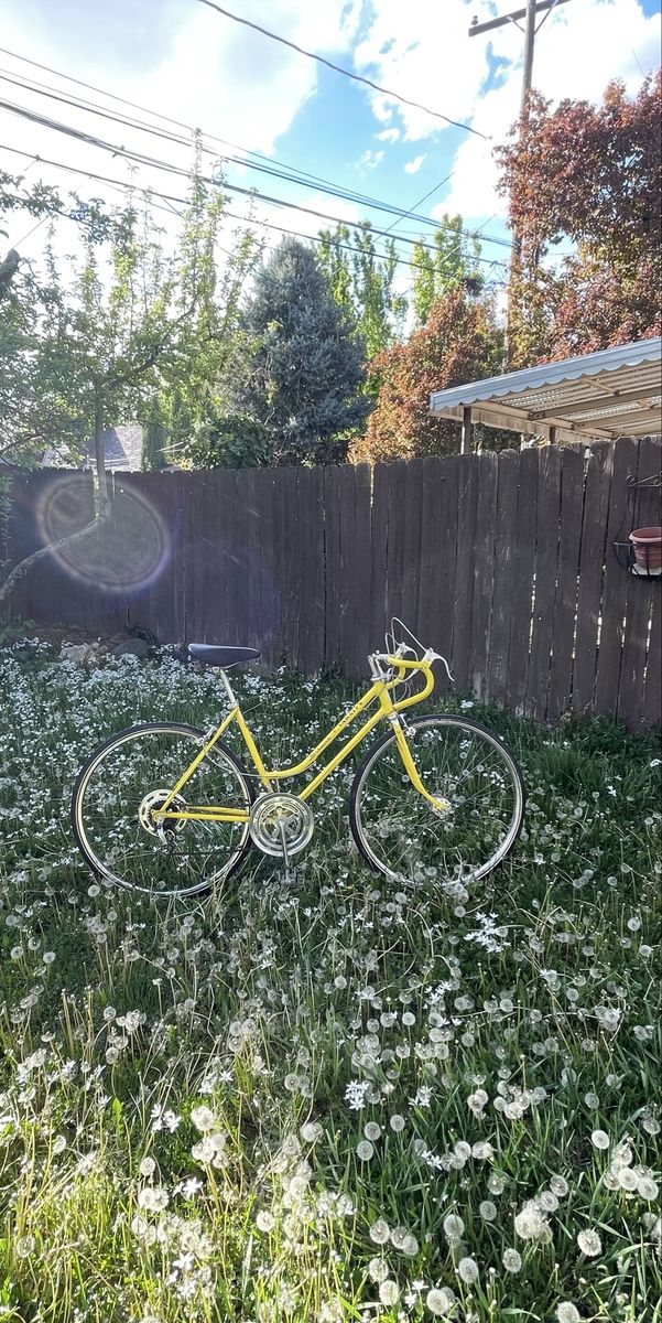 Old school girls Schwinn Varsity small 10 speed