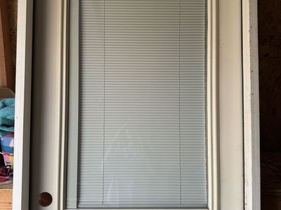 Door with doggy door