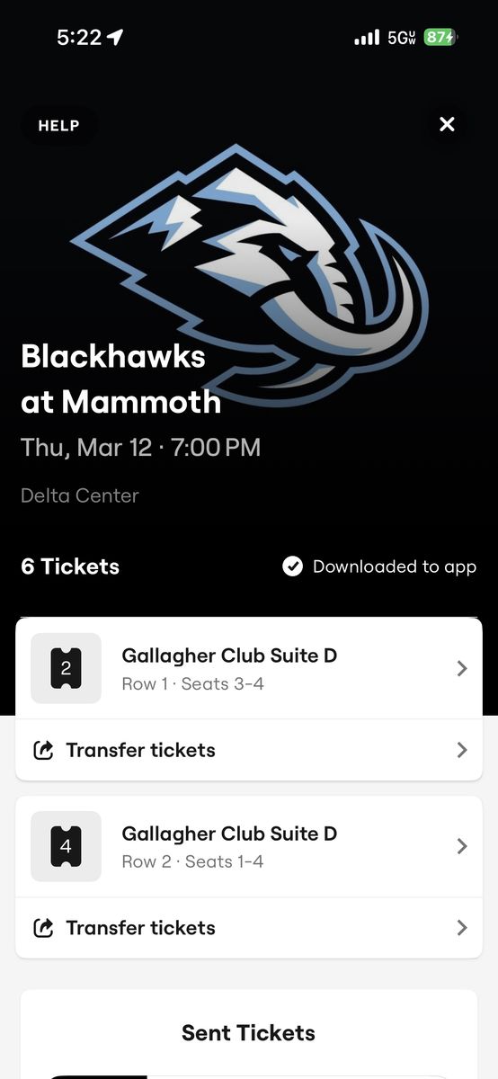 MamMoth Chicago Blackhawks(6) Gallagher club