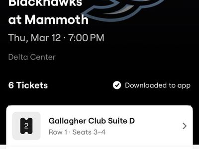 MamMoth Chicago Blackhawks(6) Gallagher club