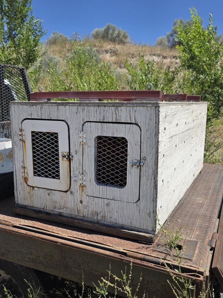 4 Hole Wooden Dog Box