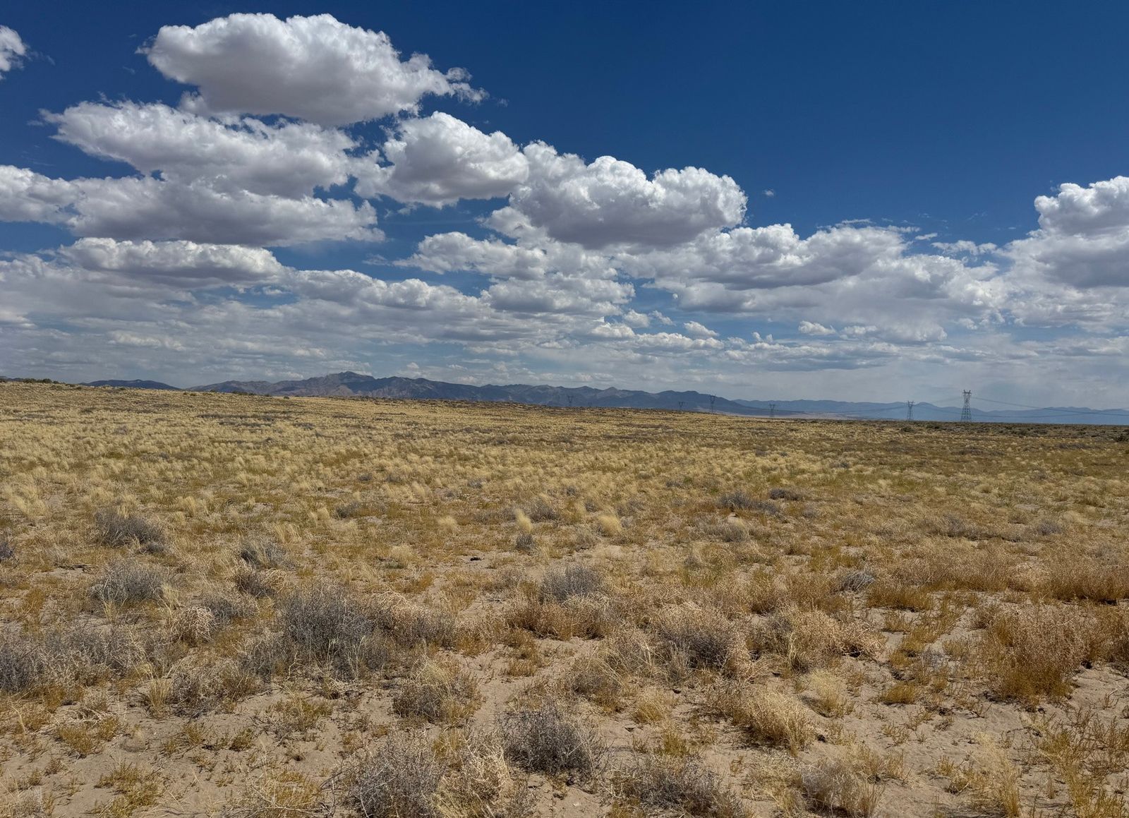 70 acres 2000 E 10500 N, Delta, UT 84624