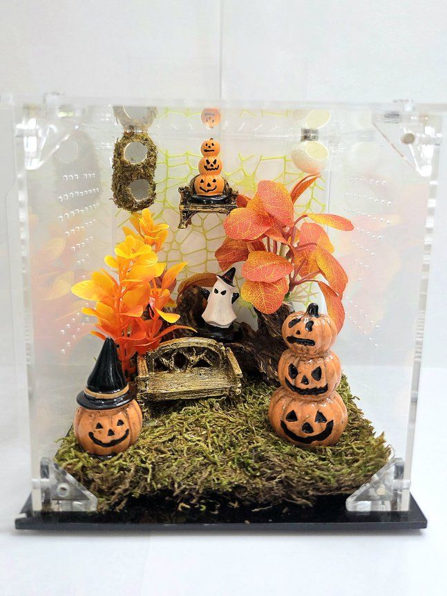 Halloween enclosure