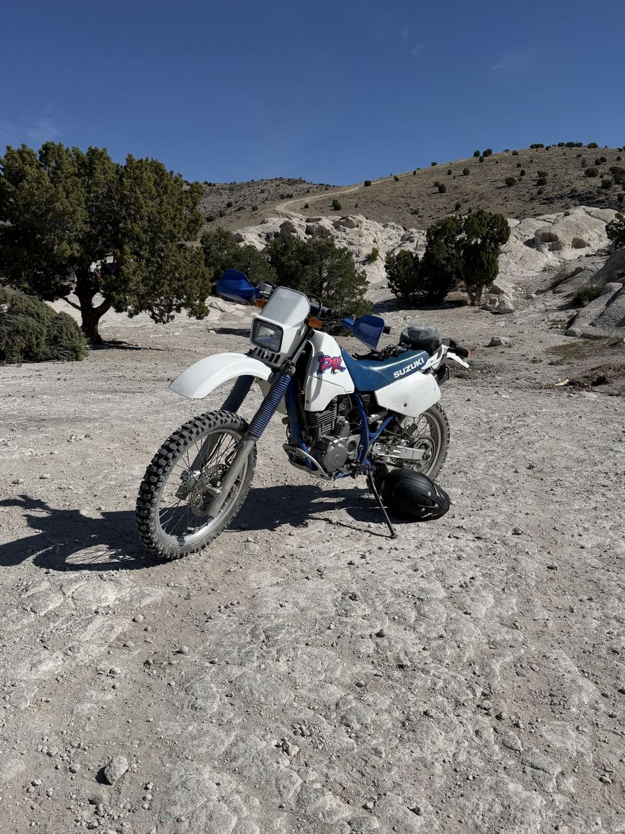1994 Suzuki DR250l
