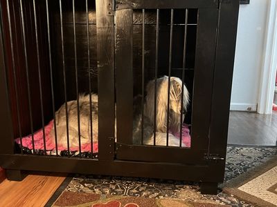 Custom XL Dog Kennel