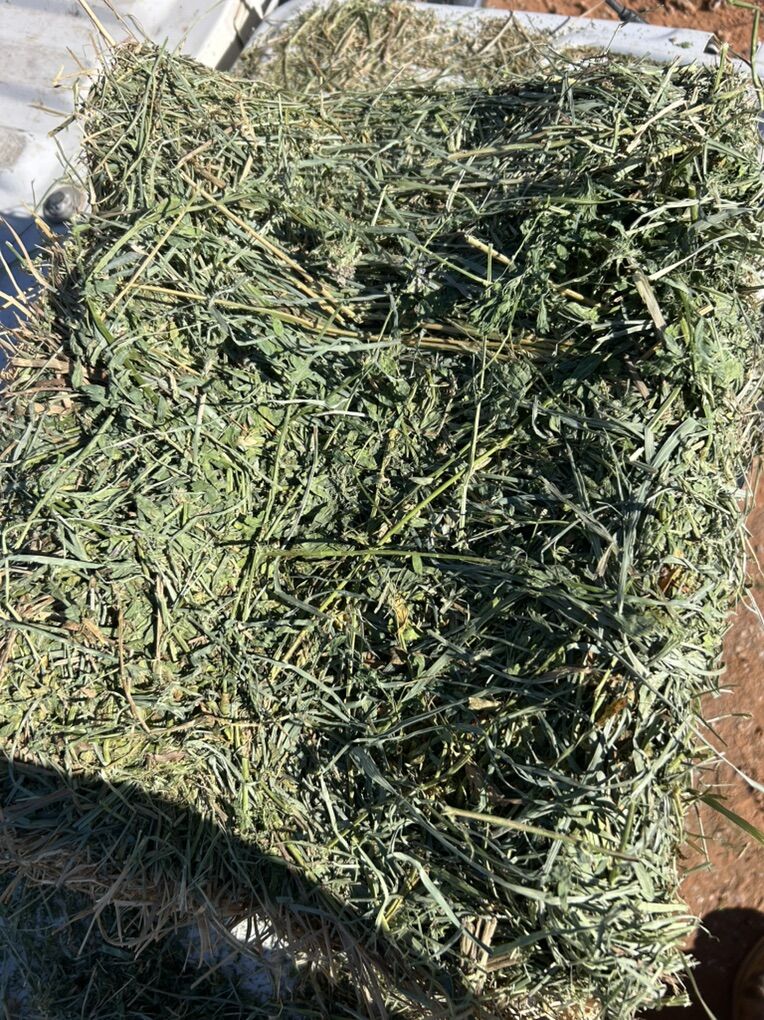 21 Bale Bundles Grass/alfalfa Mix