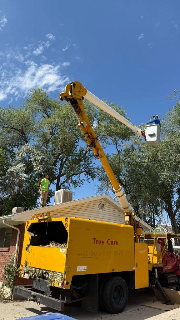 miracle Tree Services