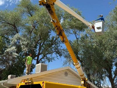 miracle Tree Services