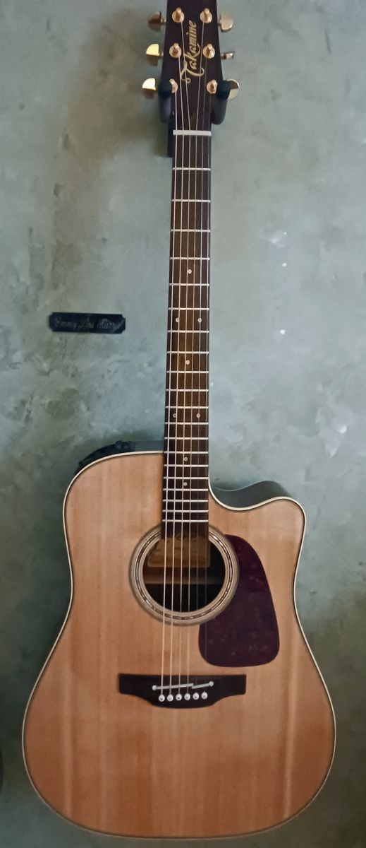 Takamine  P5DC Acoustic Guitar