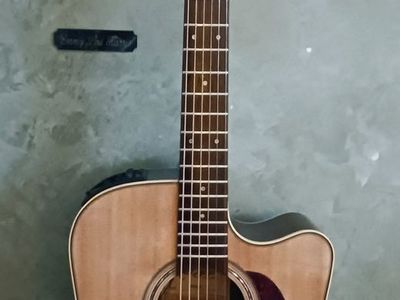 Takamine P5DC Acoustic Guitar
