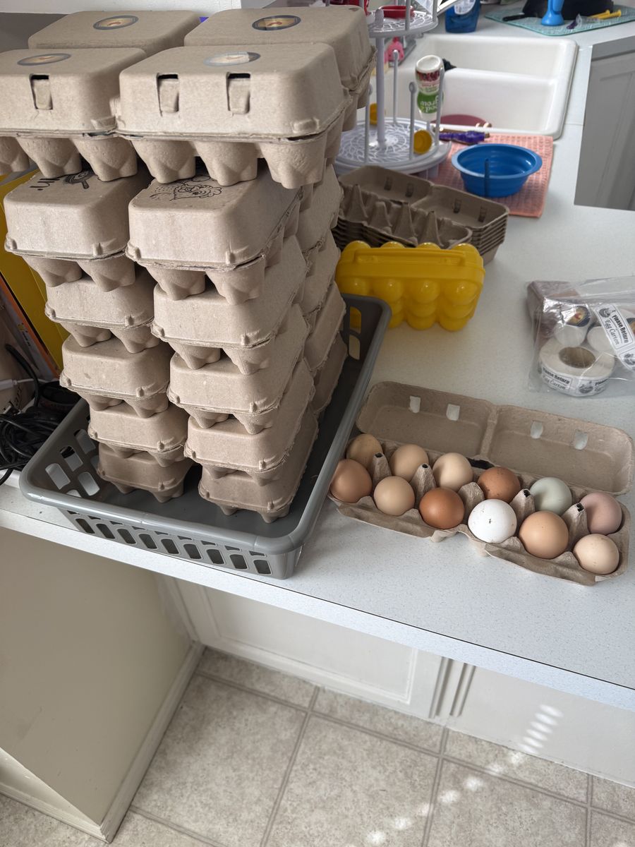 Farm Fresh Eggs
