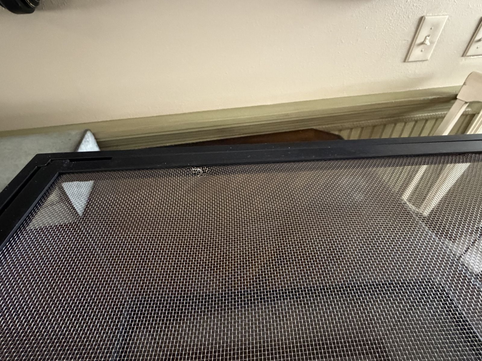 Main image 6