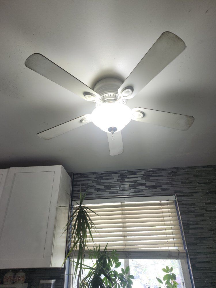 Ceiling fan/lamp